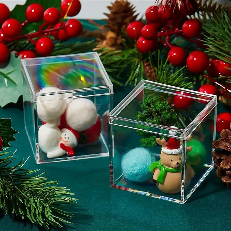 12 PCS Transparent Acrylic Box - Xmas Food Storage Containers recension och pris